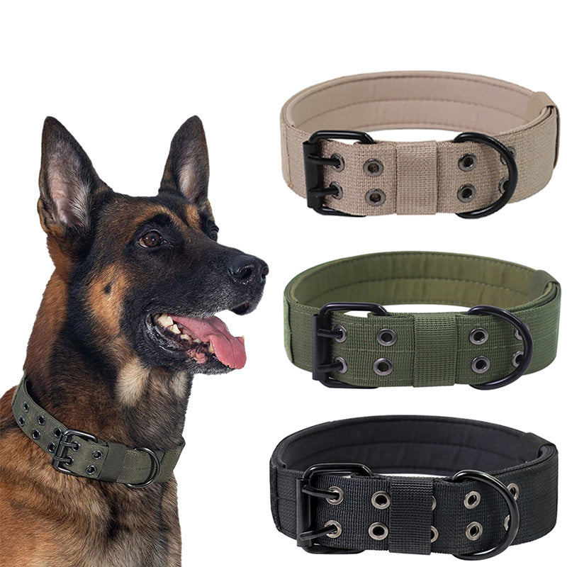 62e9c8ce36f5cef9d2ceb5356d3d03f4